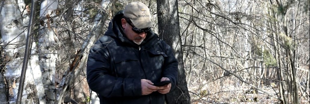 man lost in woods looking at phone