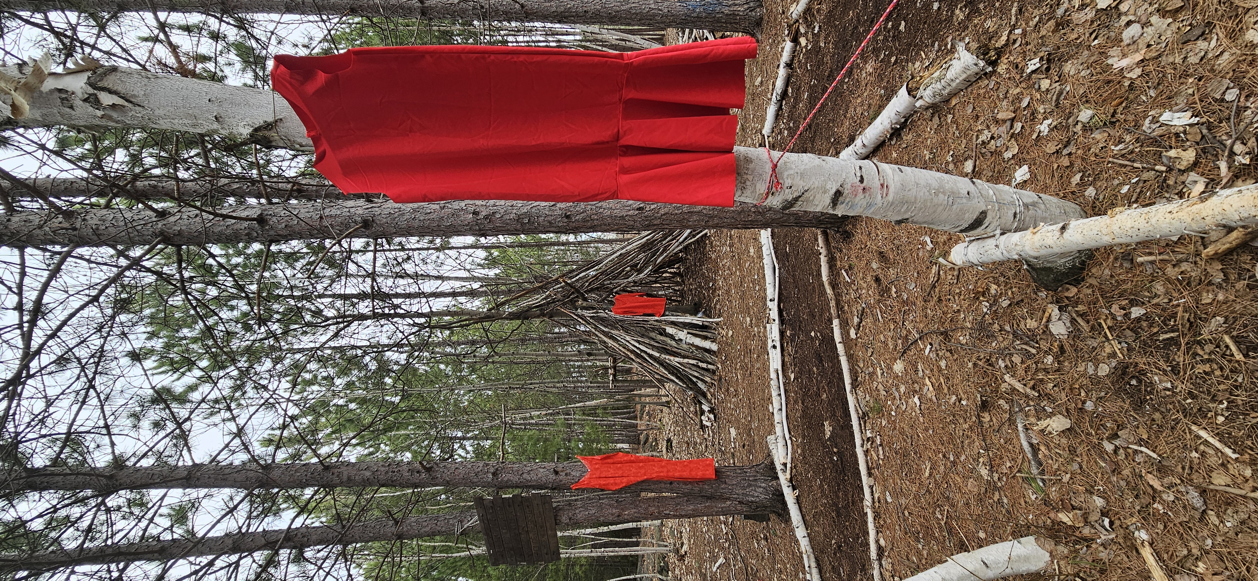 red dresses hanging in trees in trail