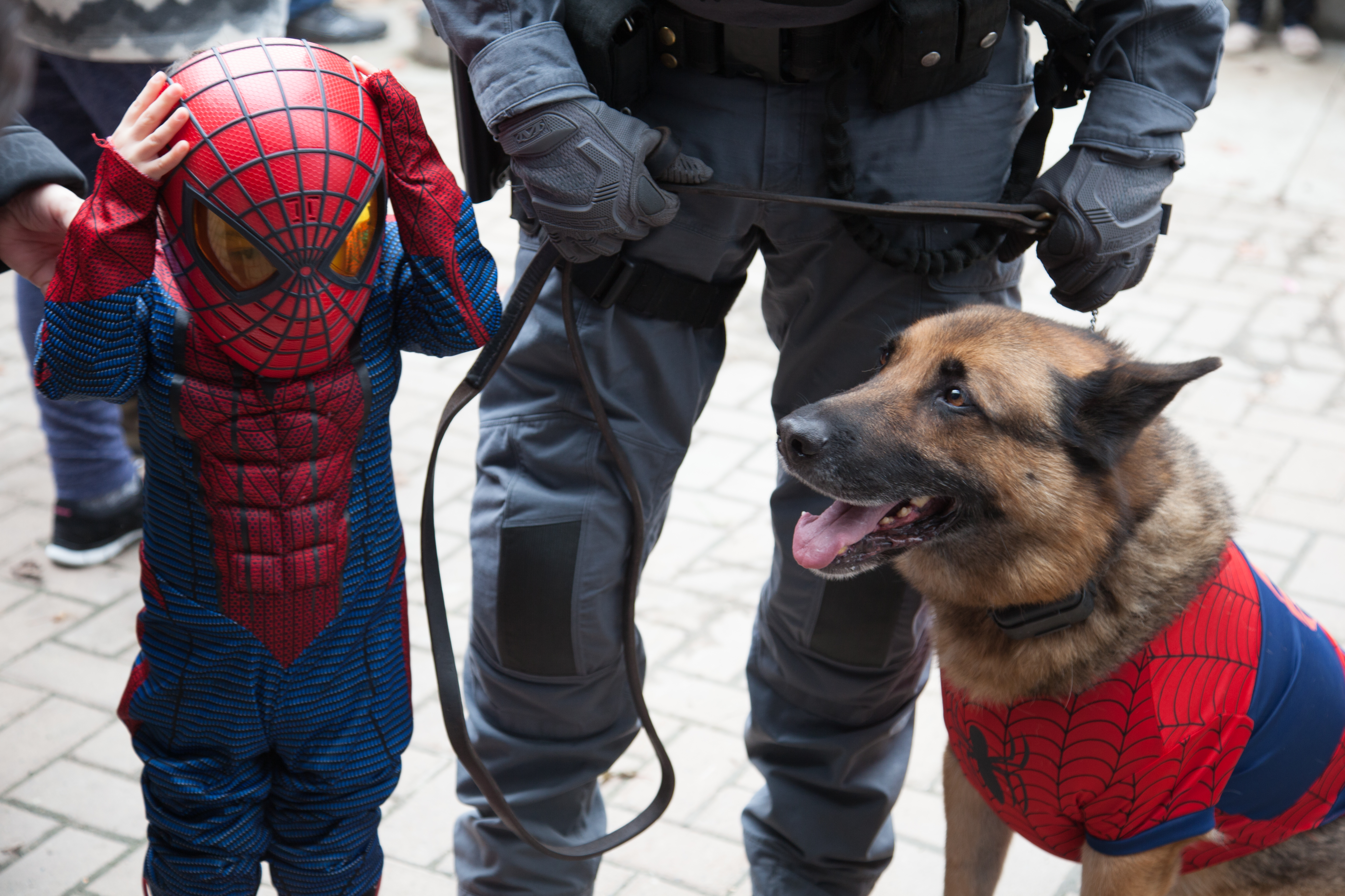 police dog in costume with child