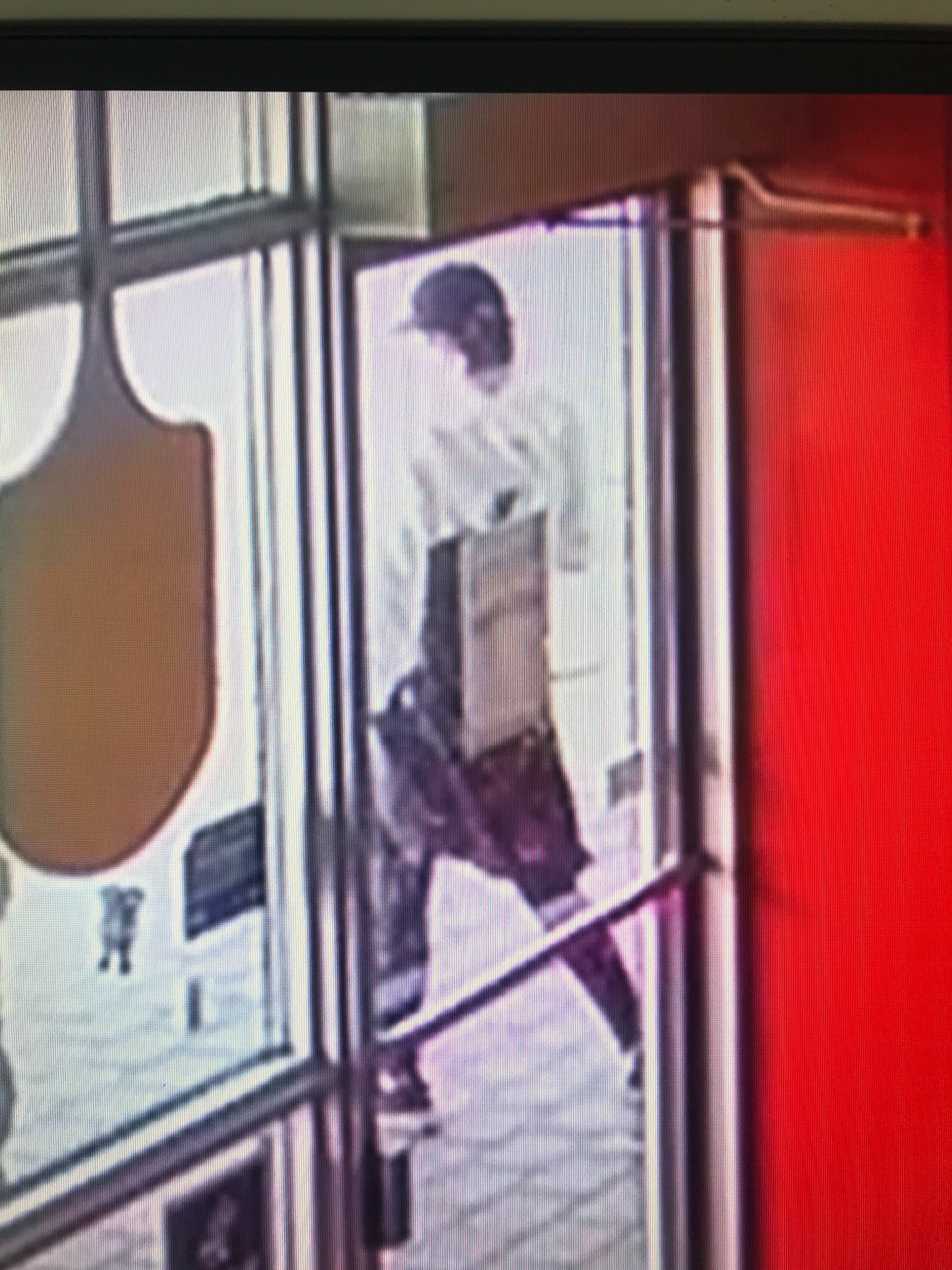 hit and run suspect