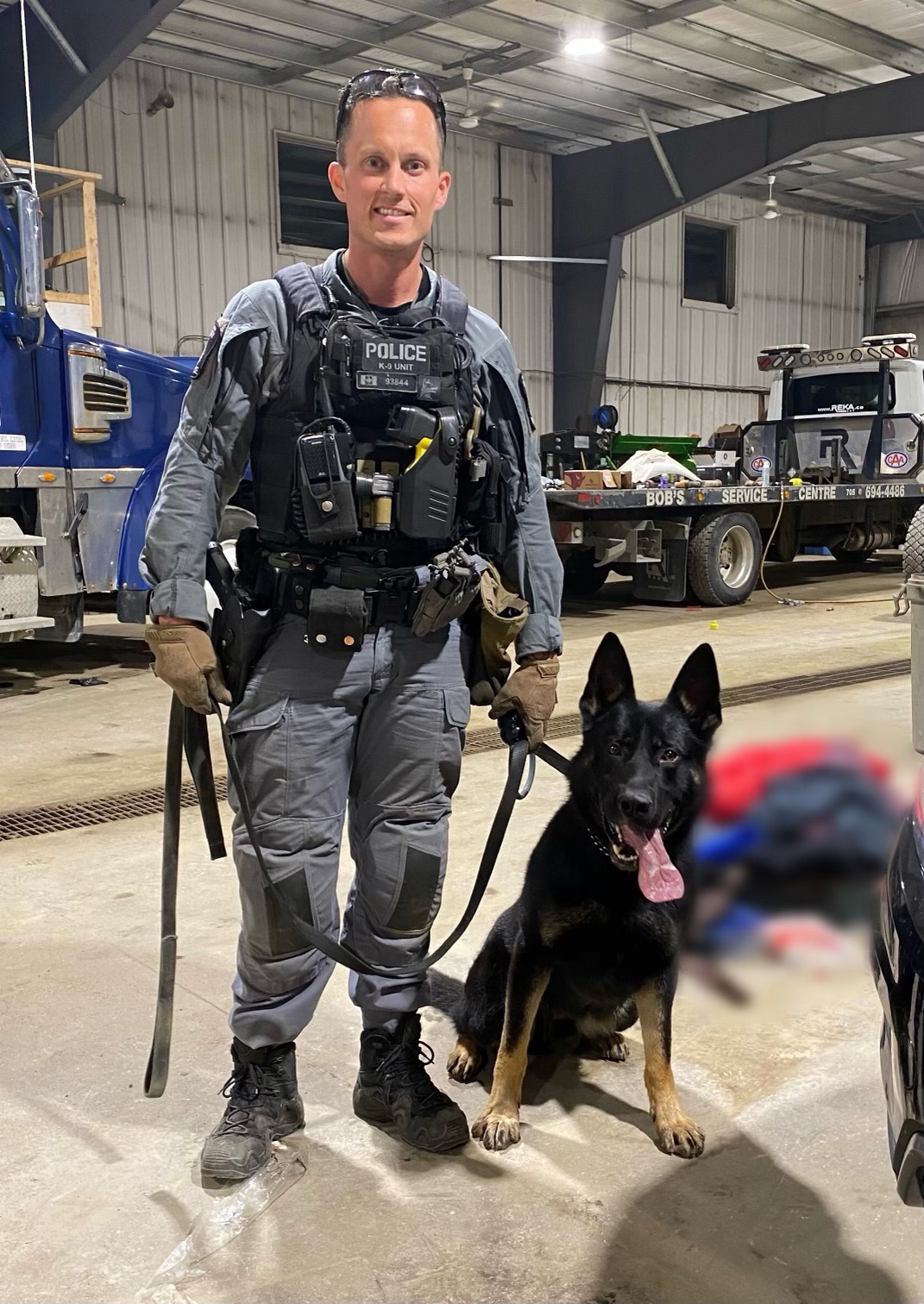 K9 Roy