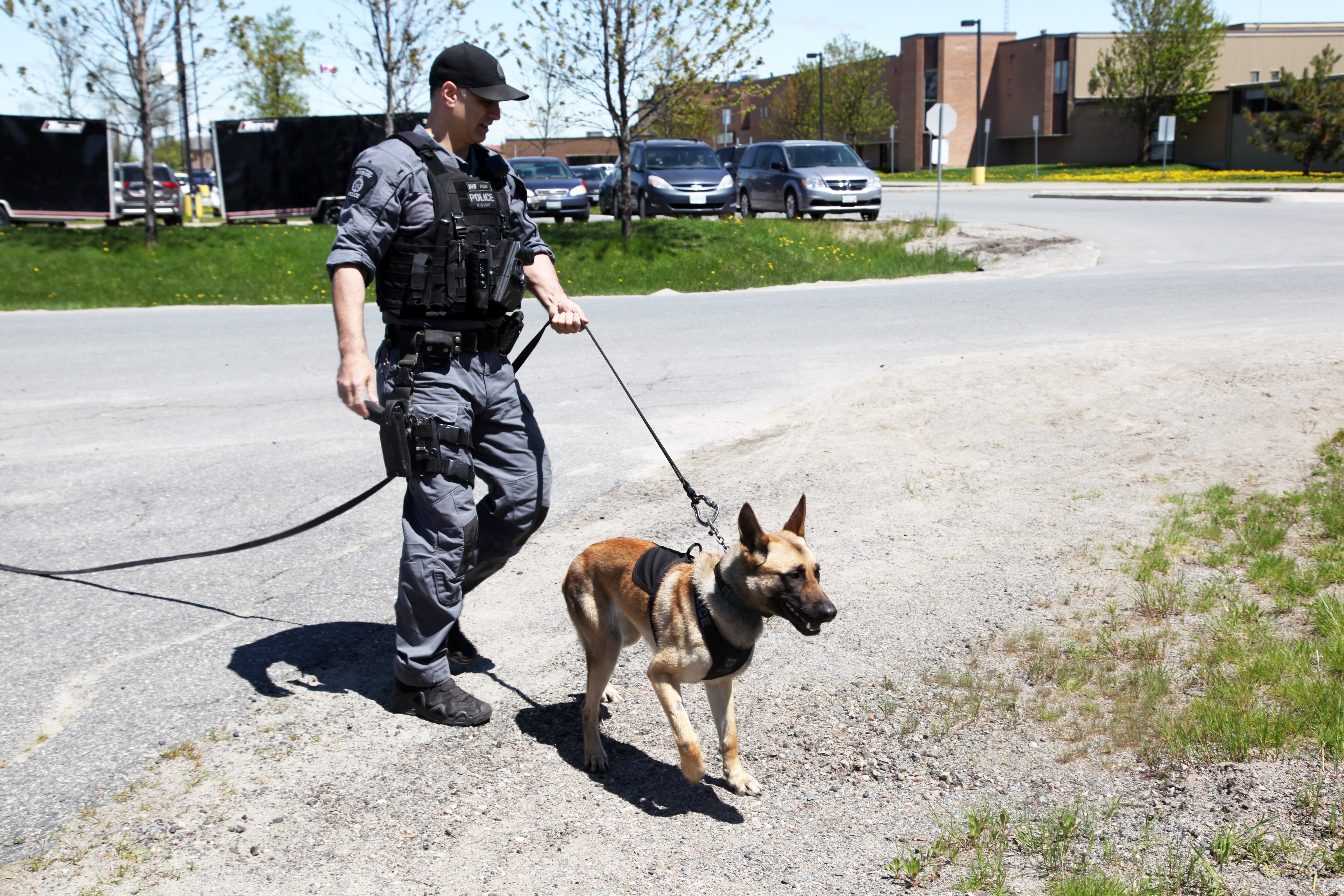 Officer walking police dog outdoors on leash