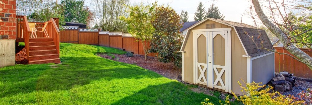 shed and backyard