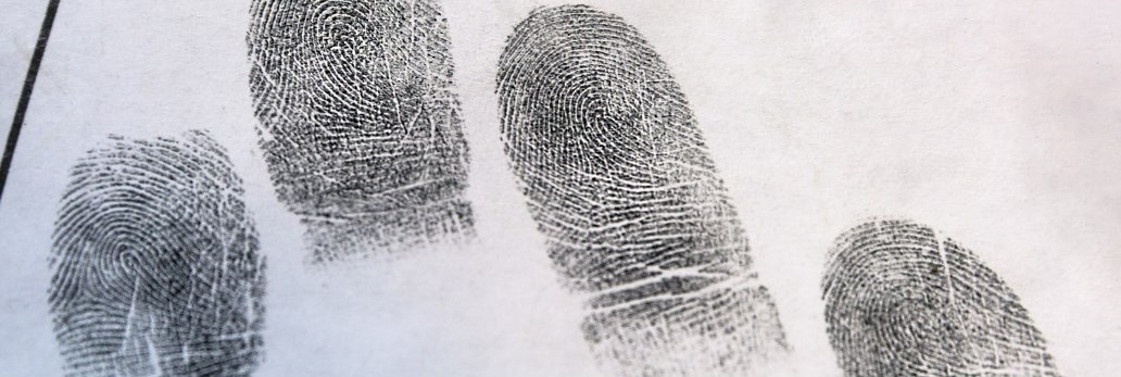 fingerprints