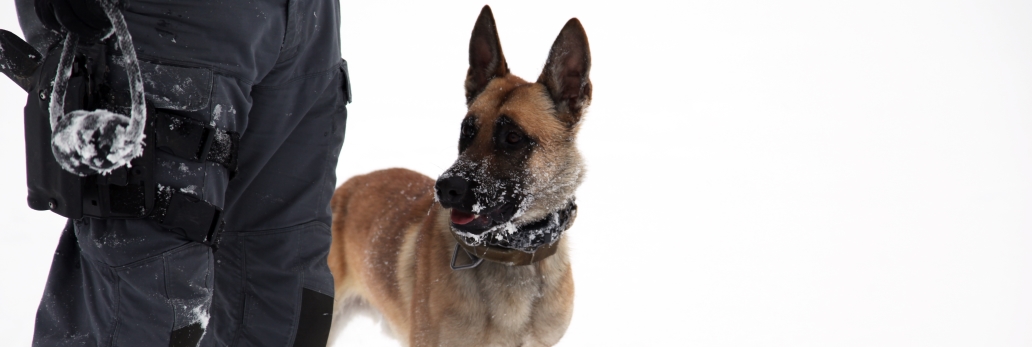 A police dog and his trainer in the snow